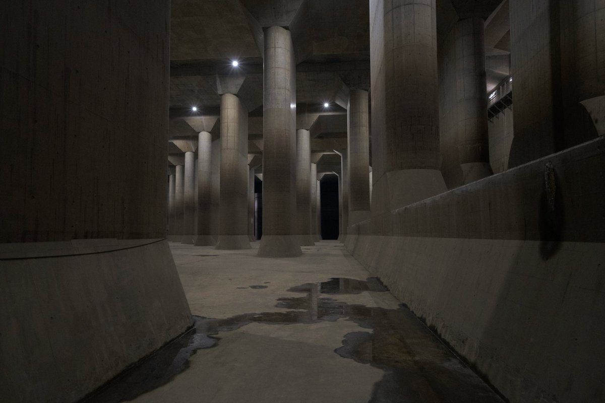 n55_pafu's tweet image. 