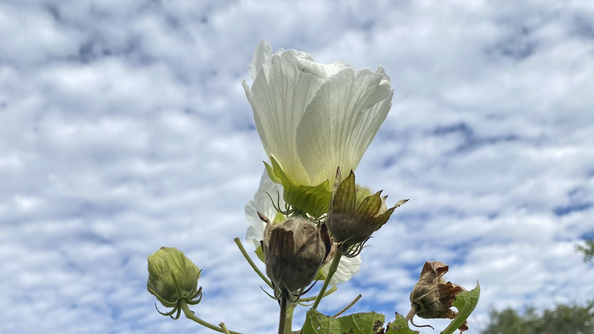 sato (@sato00ai) / Posts / X