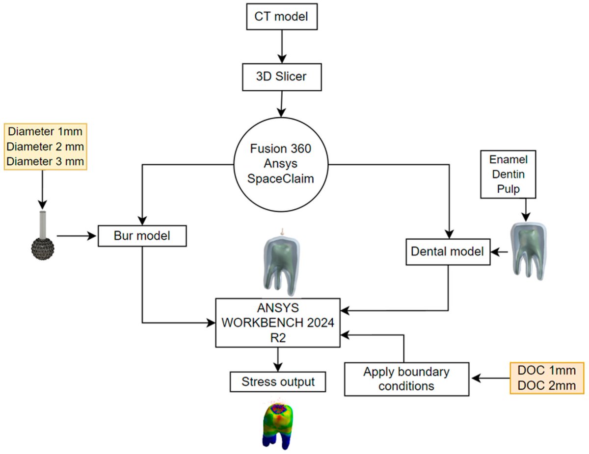 Prosthesis_MDPI's tweet image. This study uses finite element analysis to assess stress in dental structures during cavity prep with diamond burs—key insights for better care!
Details via DOI: doi.org/10.3390/prosth… 🦷💎🔬
#DentalBiomechanics #FiniteElementAnalysis #DentalInstrumentResearch