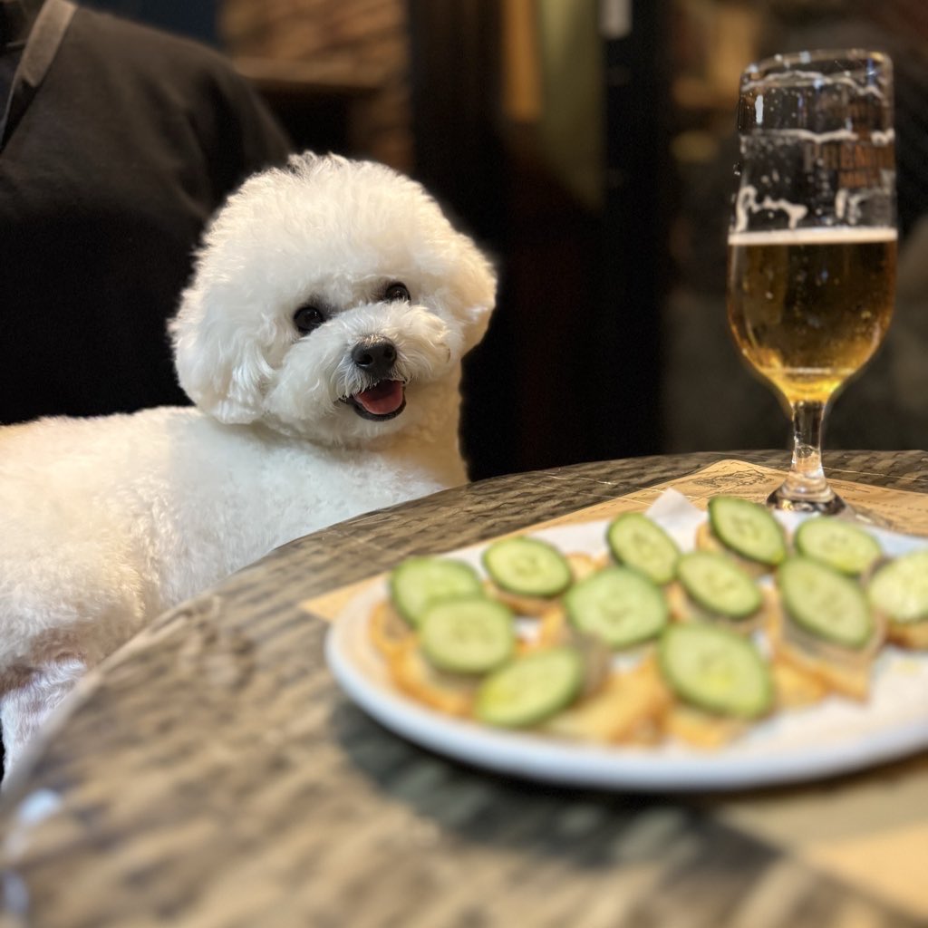 月乃📖🎥🪆🧸 (@tsukino2331) / Posts / X