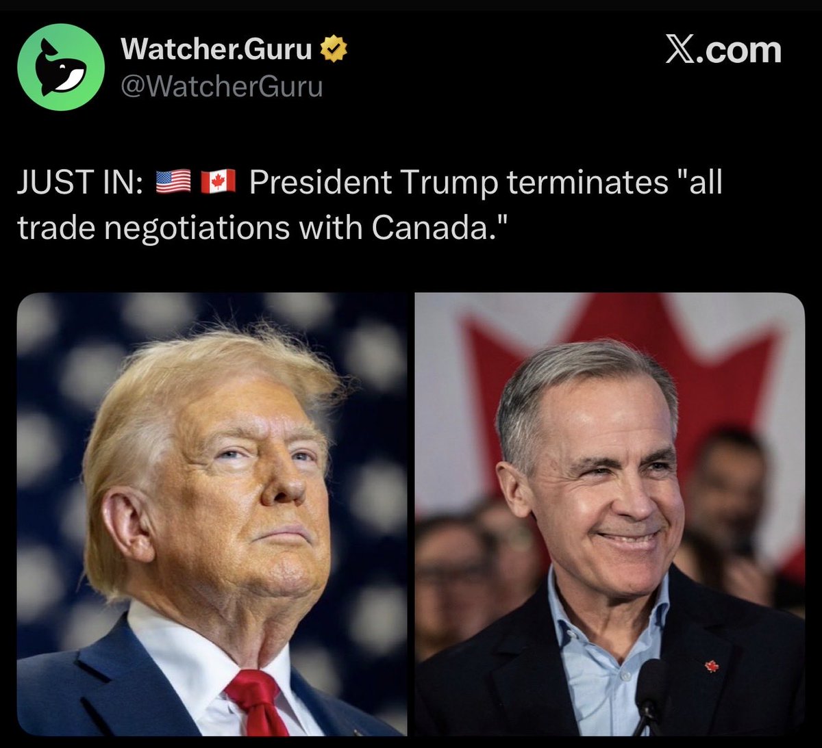 Unstable Donald Trump tweet media