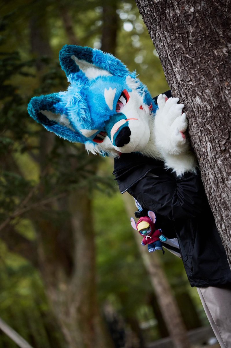 Wanna play hide and seek with me?

📸: <a href="/guni1636/">그니 GUNI</a> 

#FursuitFriday