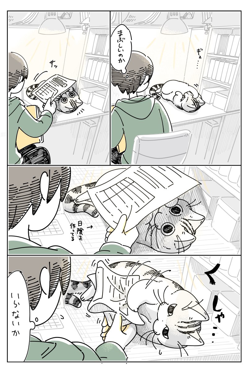 天色鮫🦈 (@AmaIroSaMe489) / Posts and Replies / X