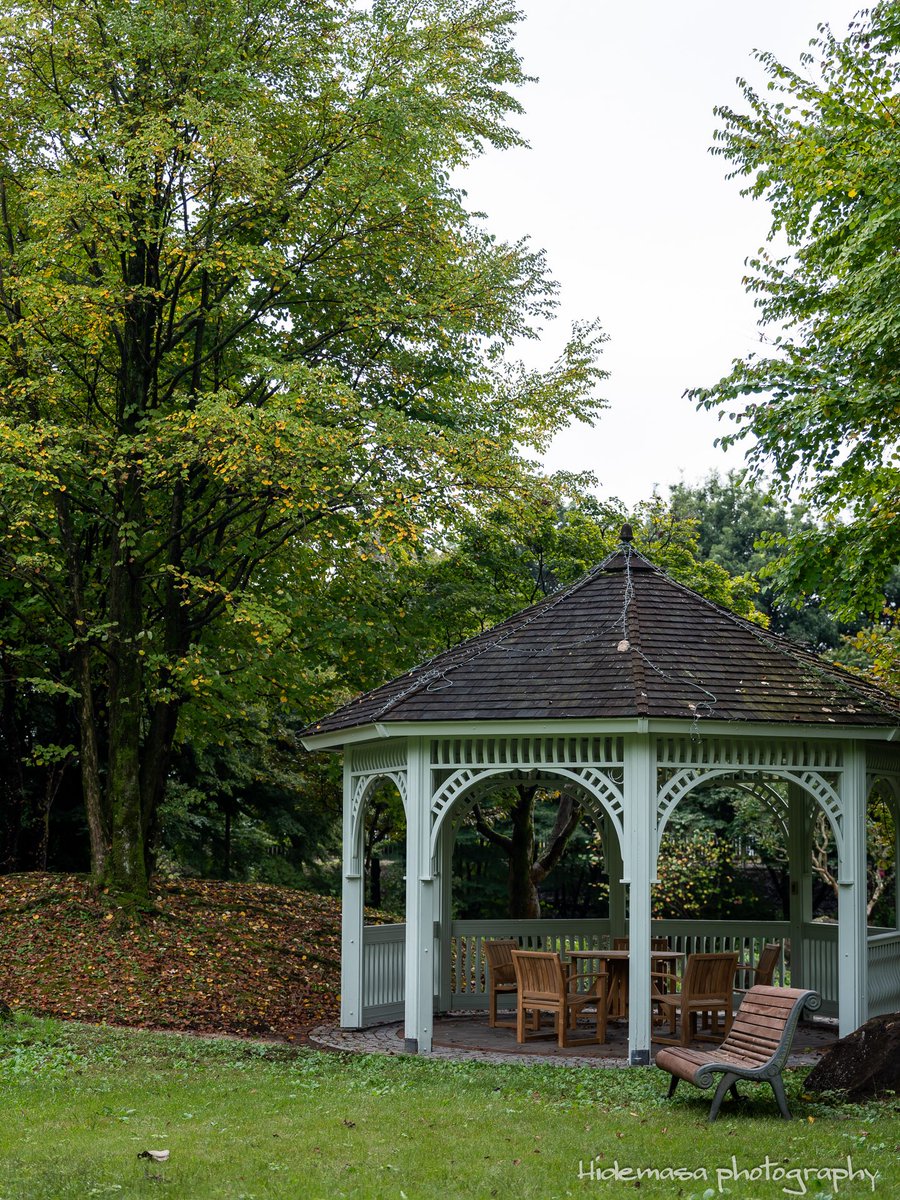 Hi_DesignFocus's tweet image. Gunma Flower Park +
ぐんまフラワーパークプラス

[2025.10.12]

#GunmaFlowerPark
#ぐんまフラワーパークプラス