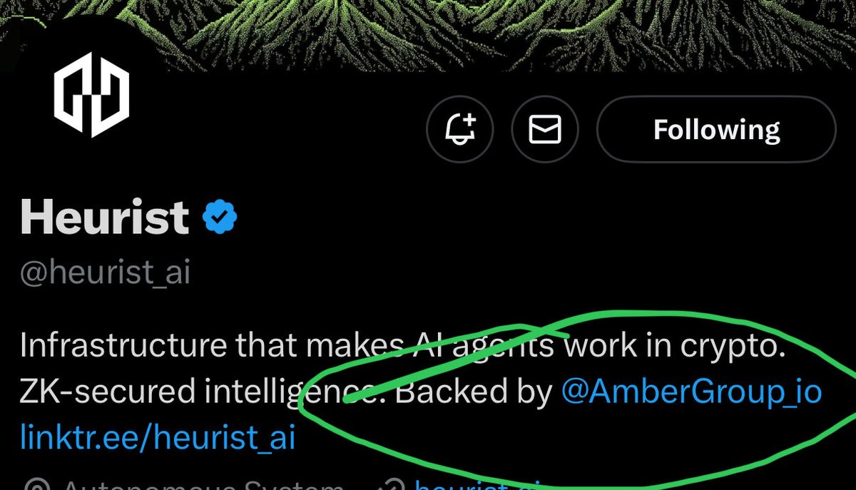 Heurist AI 的 X 资料截图，突出其主要功能和支持方