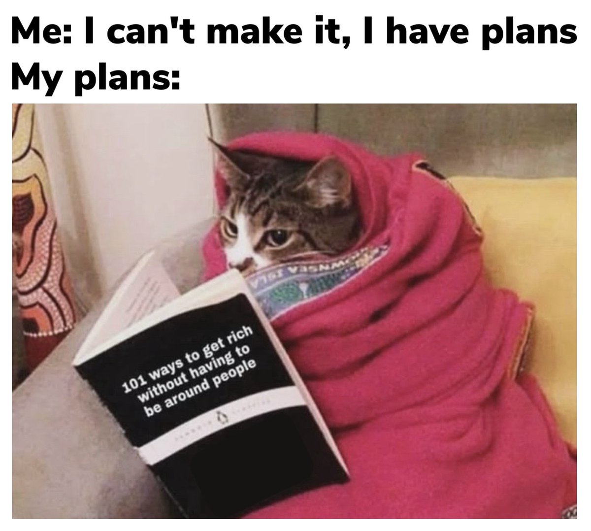 JenDragonRose's tweet image. #Introvert #INFP