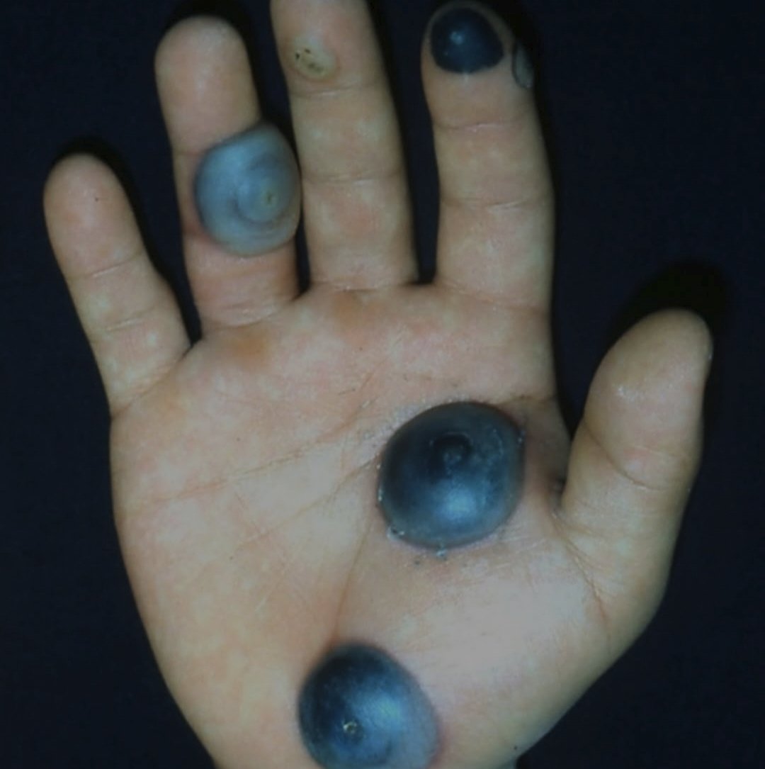 nervemed tweet media