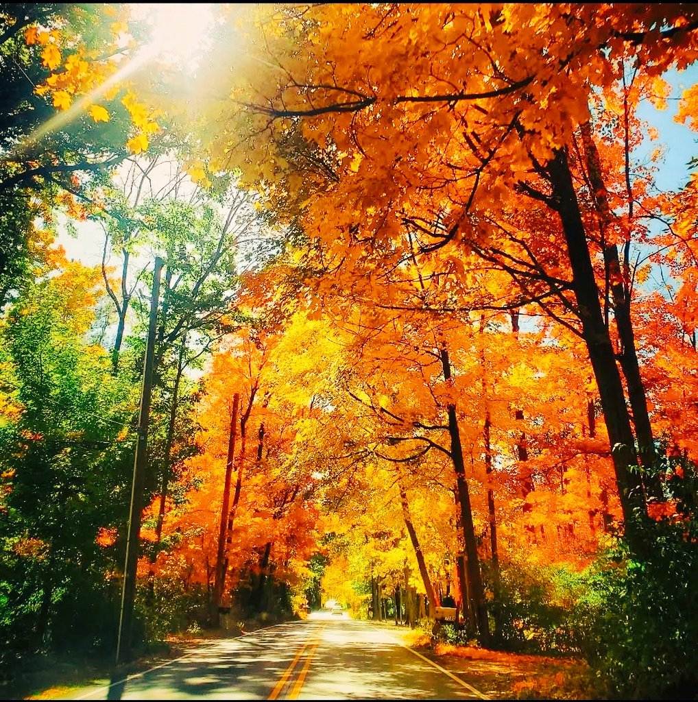Fall vibes are definitely in full swing