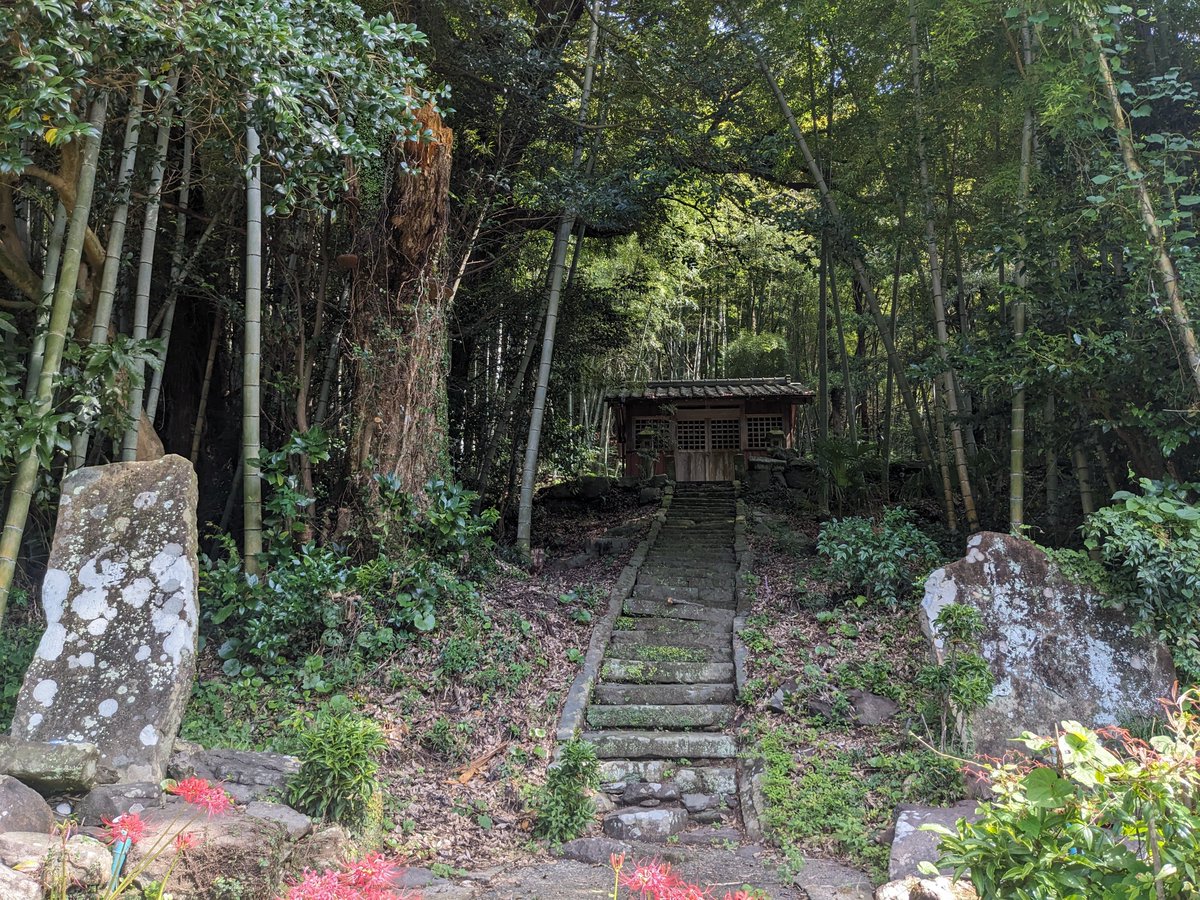 ２０２５年１０月５日
🔴  名称不明
    #佐世保市    #江迎町
  ・地図    33.291843,129.646825