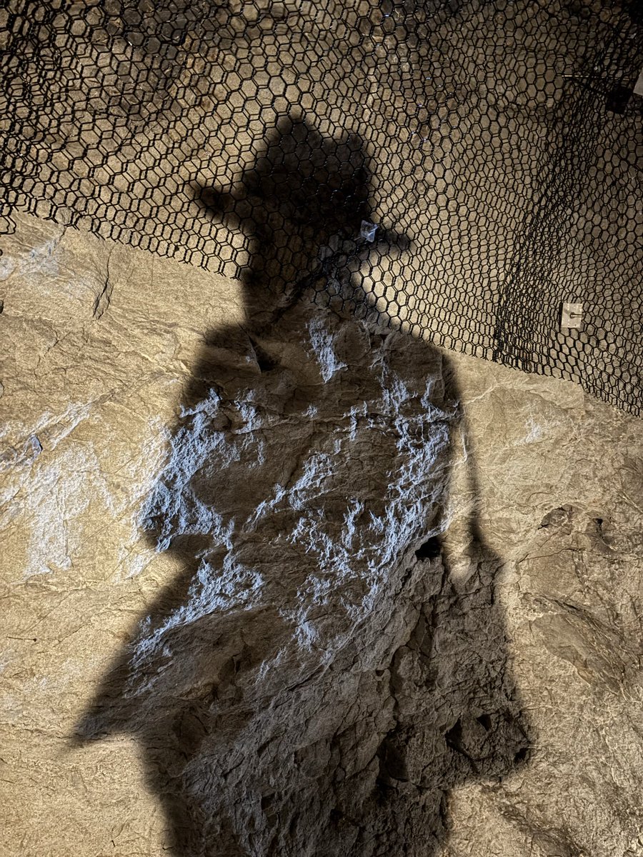 ばぐ 螺旋両日 on X