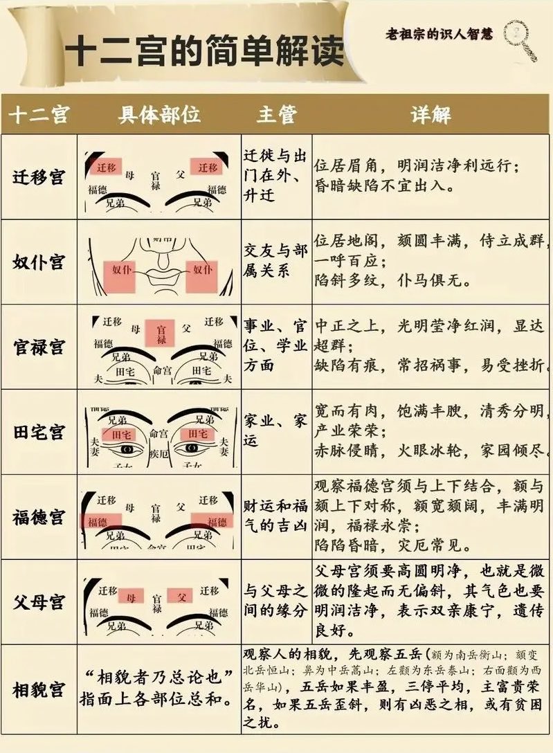 面相十二宫的简单解读