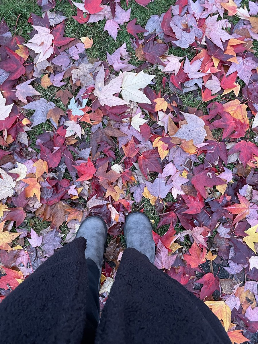 PauCubillas1's tweet photo. Otoño en Vancouver https://t.co/V7TBlmD98K