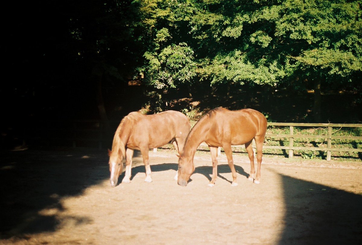 25u (@miniminippi) on Twitter photo 