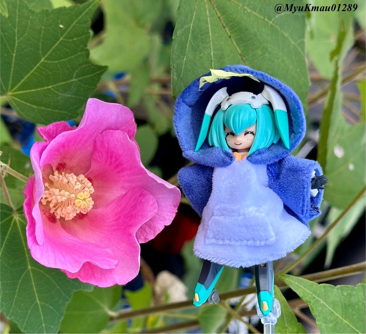 さまかゆま (@MyuKmau01289) / Posts / X