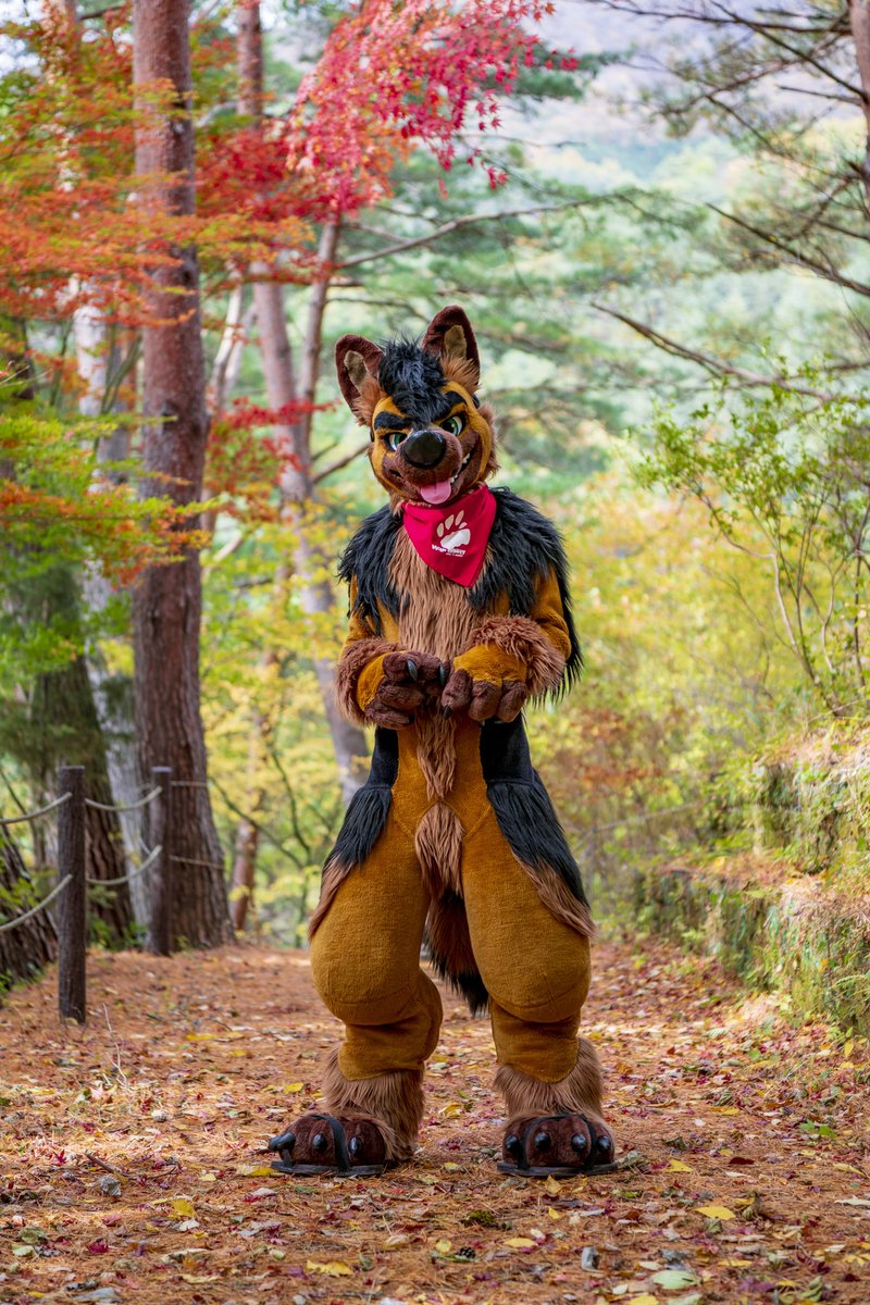 彩りの山
#Fursuitfriday