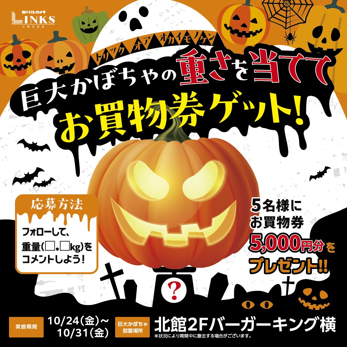 🎃ハロウィン企画🎃 かぼちゃの重さを当てて商品券をGET🎁 ＼ リンクス