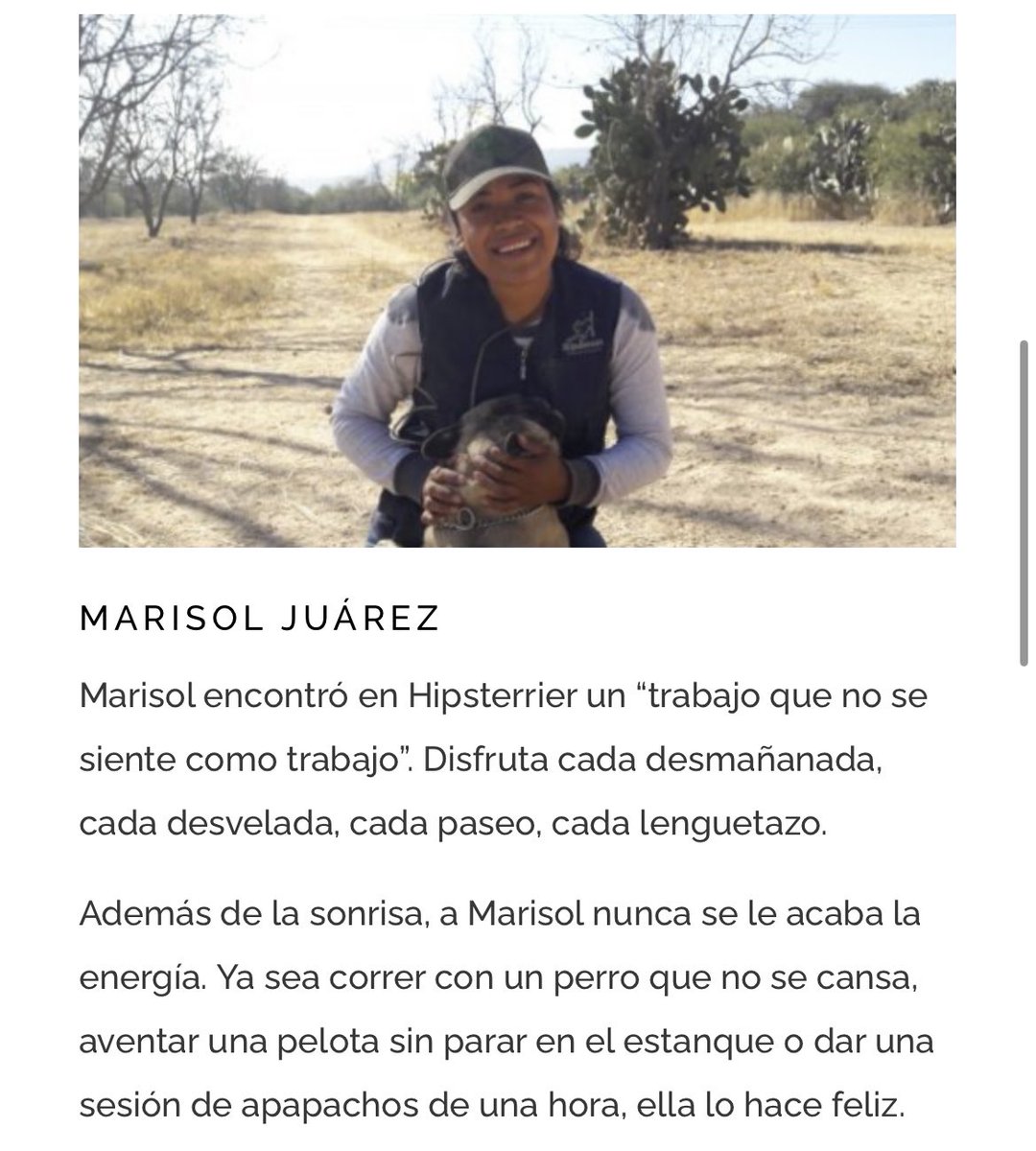 Default74394561's tweet photo. @gabianelka Estos son los empleados del albergue Hipsterrier en San Miguel de Allende, donde se suponía estaban cuidando a Halo (la perrita de la familia Ramsey).
Se les perdió, y tardaron 5 días en notificar a sus dueños. Han pasado dos semanas y no se sabe nada de Halo. https://t.co/h46PzSB8ez