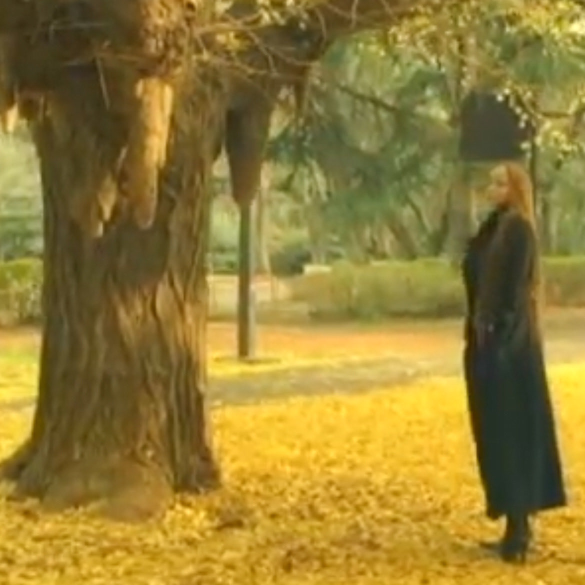 mimjs_word's tweet image. お久しぶりです
東京を離れるので、その前に聖地巡りをしてきました。
明治神宮⛩️で御朱印をいただき、代々木公園ベビドンの木へ🌳幹のこぶはかなり大きくなりましたね。
そして渋谷109安室ちゃんの手形🖐🏻をまわりました。

肌寒くなってきました。皆さんも体調に気をつけてお過ごしください。