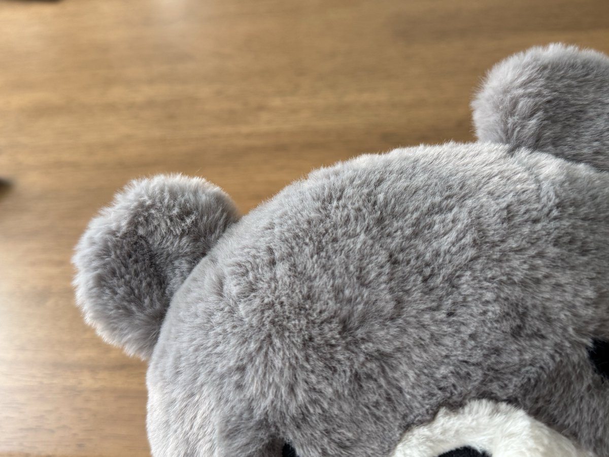 ลุ้นให้ทัน #IFEXPOWINTER25 🥹