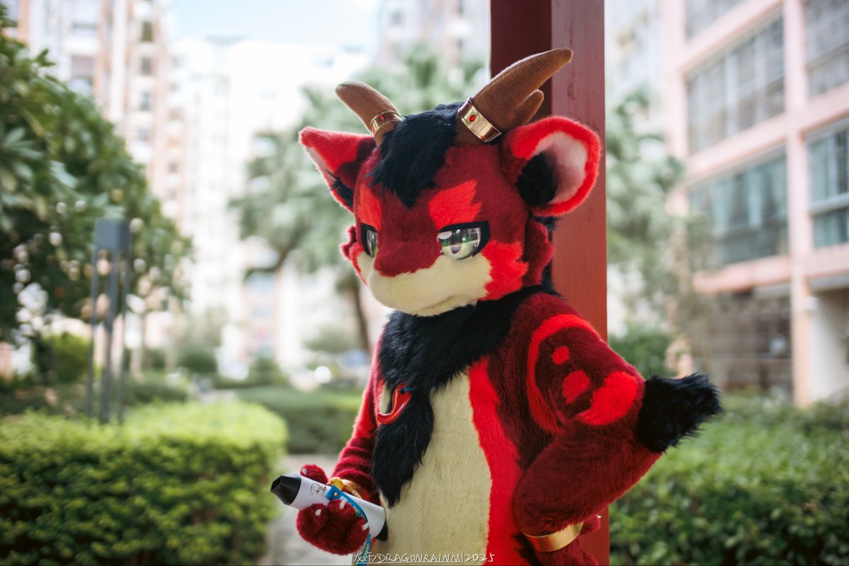 你要这个？嘻嘻，不给。
📷 <a href="/DragonRainM/">龙雨</a> 
#FursuitFriday