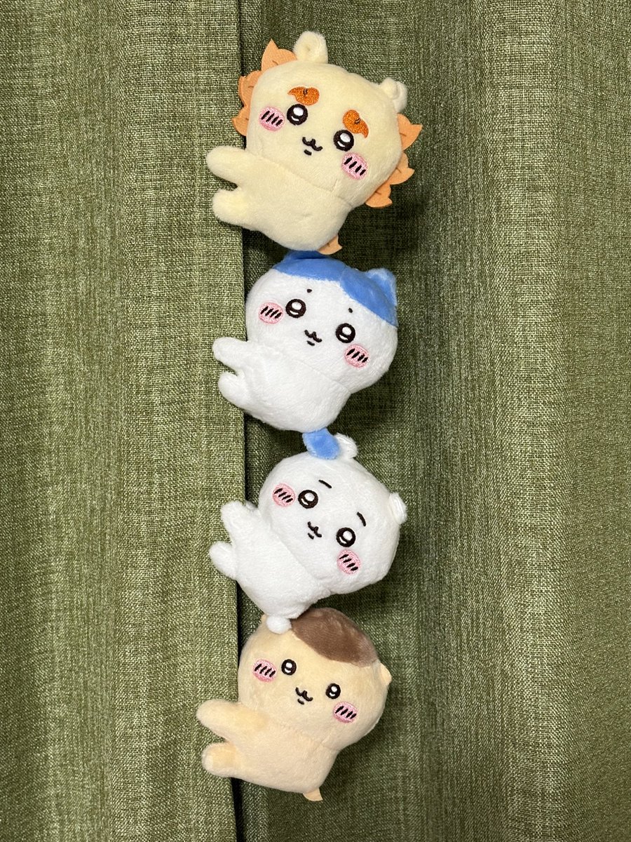 yu_yuさん専用 yu_yuさん専用 ゆゆさん専用】 ゆゆゆさん専用 ゆゆさん 専用