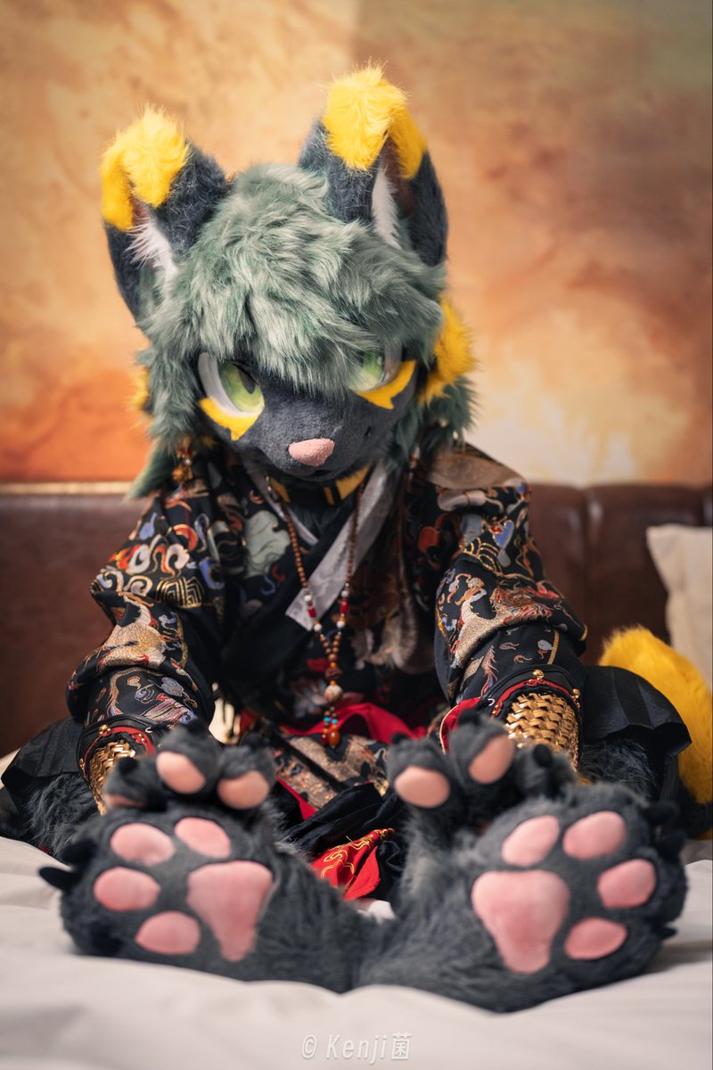 Izaki9nk's tweet image. OMG 500fo 了！
感谢关注( ´ ▽ ` )ノノ

📷@Kenji0629