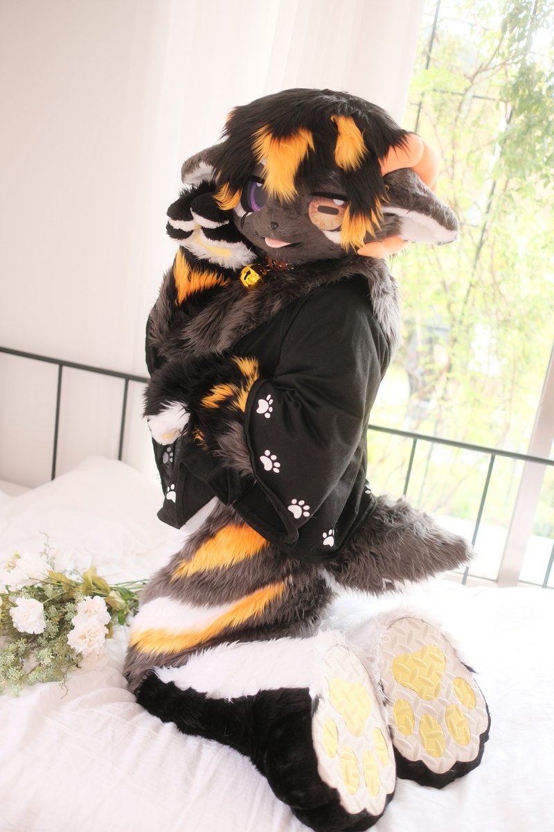 #FursuitFriday 

오늘은 침대에서 내려오기 싫은 기분인걸