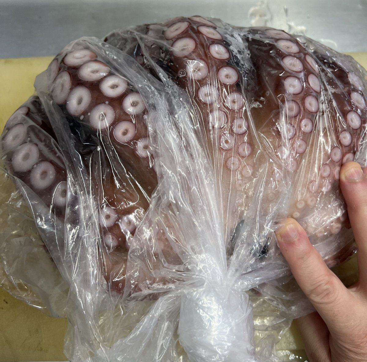 ドーm9っ｀Д´)ーン on X