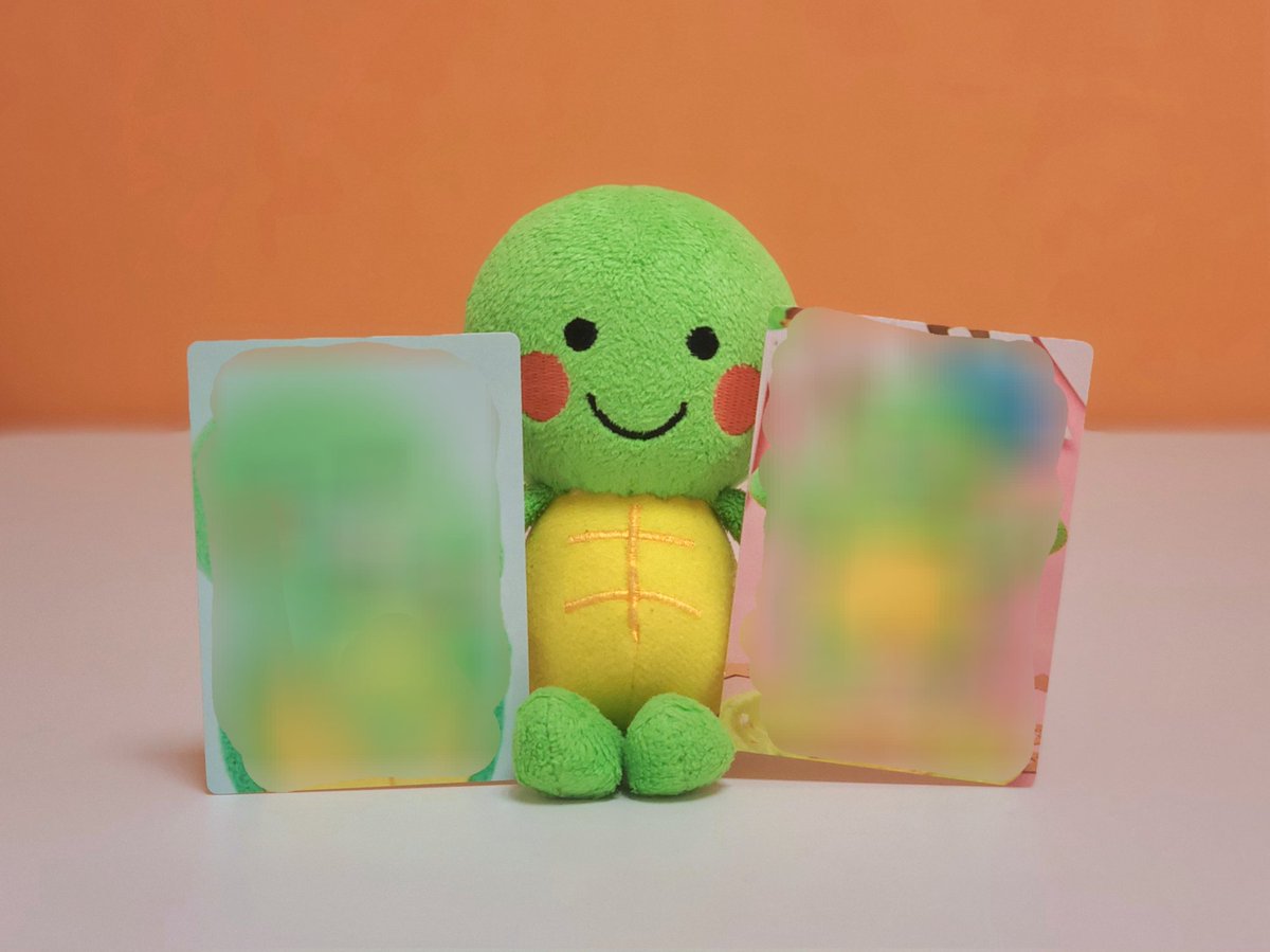 かめちゃん様 リクエスト 5点 まとめ商品 亀ちゃんクッション(大)の