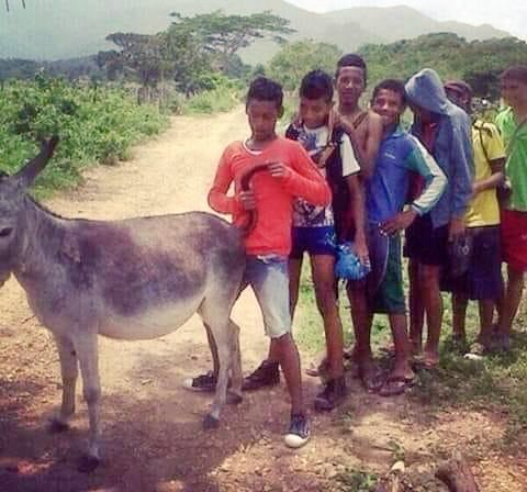 luis2_8's tweet image. No sean así con la mamá de @AABenedetti