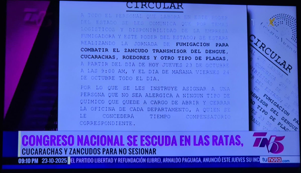 Anduray02's tweet photo. 🪳 @Lredondo El Hospital Escuela vive inundado de cucarachas, jates y zancudos y JAMÁS ha detenido sus funciones. Nuestros pacientes si tiene que aguantar eso, pero ustedes ¿No pueden hacerlo 1 vez a la semana? @TSiHonduras @chtvhn https://t.co/tXM7tpp91R