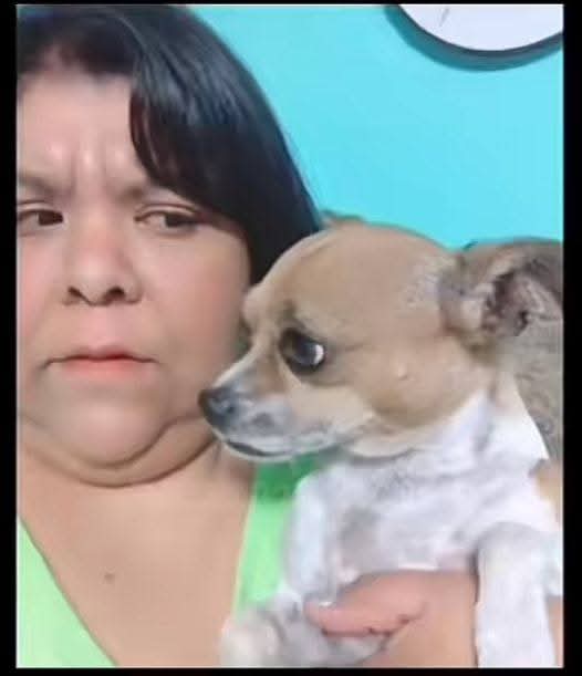 chicorobot_ph's tweet photo. No sé si está mal maltratada la reputación de Eleazar N o el cabello de Manola wtf jajaja 
#LaGranjaVIP #LaGranjaVIPMX https://t.co/4VHGUw6Agr