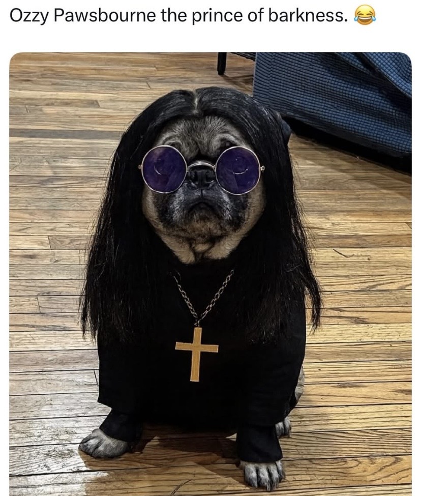 AXSTV's tweet image. Too Cute