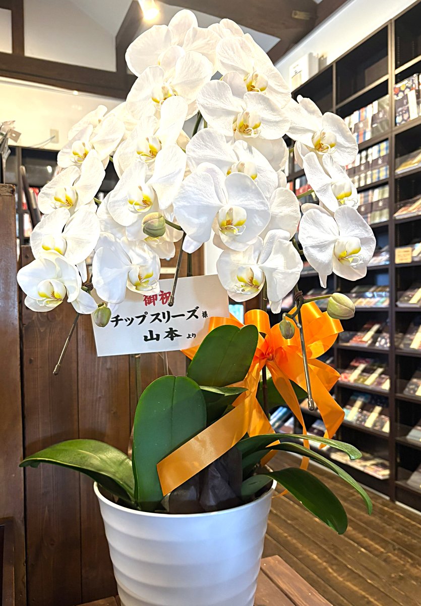 tip3s_design's tweet image. 突然、以前お世話になっていたお取引先様が立派な胡蝶蘭を抱えてご来店。

「お久しぶりですねーー！！」
と感激しつつ、何のお花だろうと思ったら
「このお店10周年ですよね！」と。

会社設立からは18年ですが、もうこの御朱印帳の店舗、10周年だそうです😳
すっかり忘れていました（笑）…