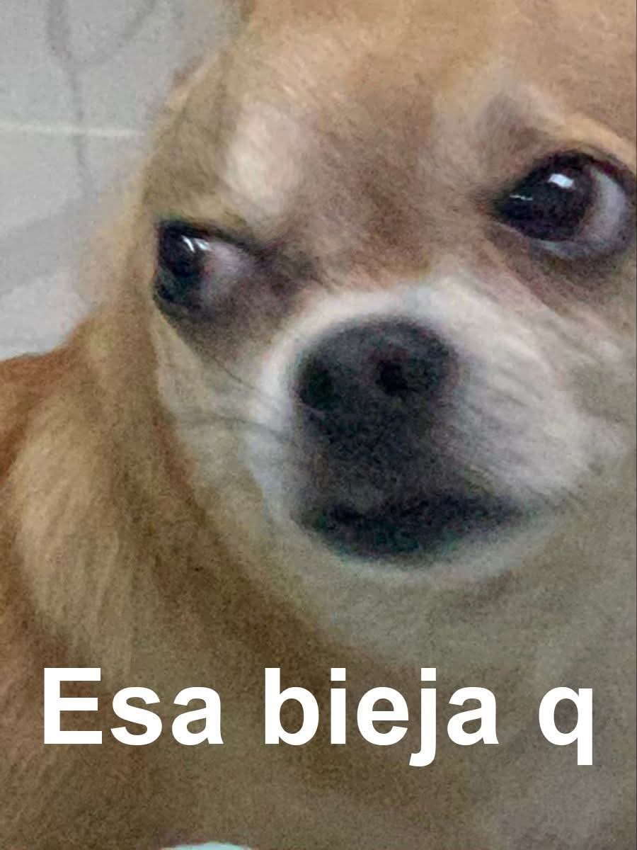 La mamá de un alumno me escribe*
Mi novia: