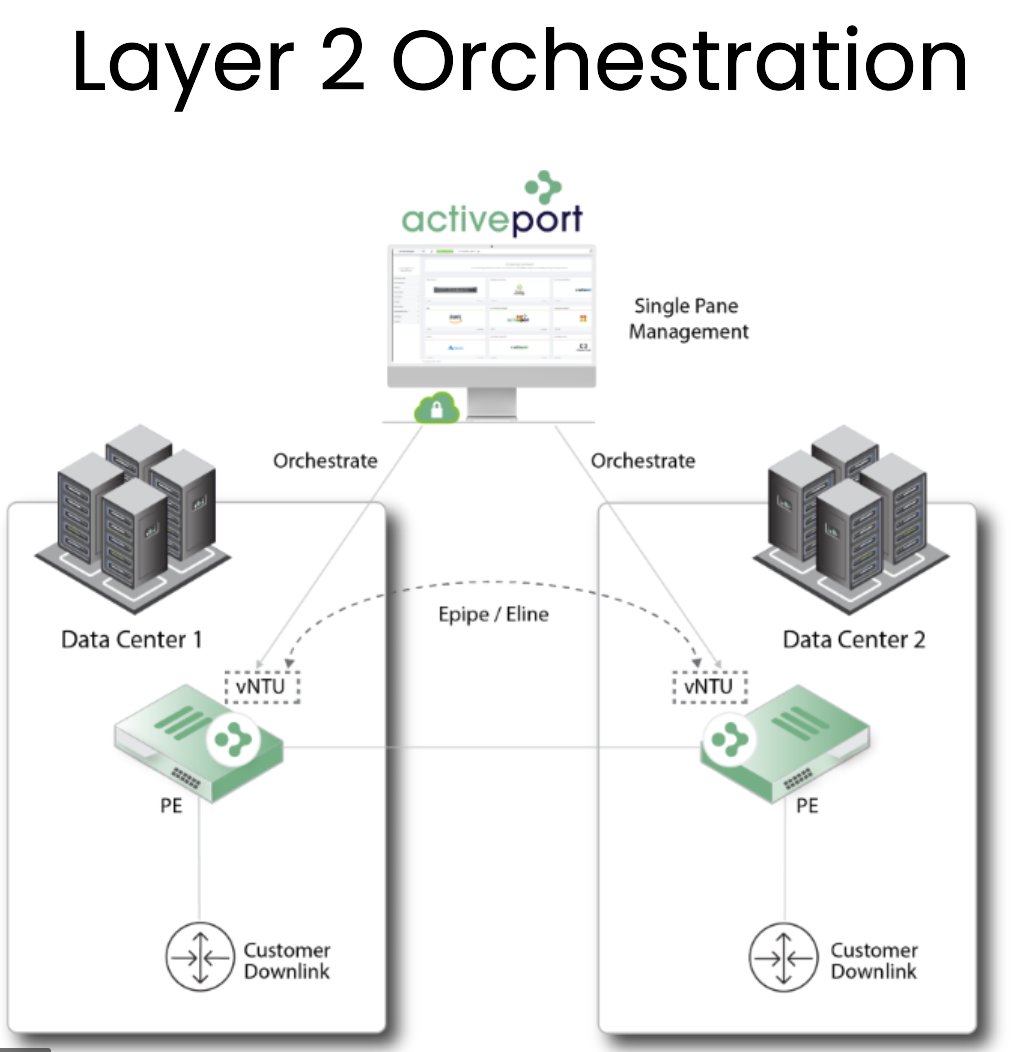 Peter Christie tweet media
