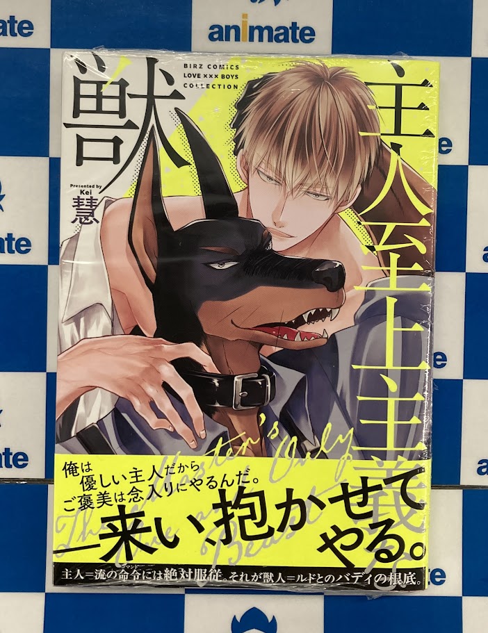 15 BL本まとめ売り　ボーイズラブコミックス　BOYS LOVE COMICS BL本 23△BL本まとめ売り ボーイズラブコミックス BOYS LOVE