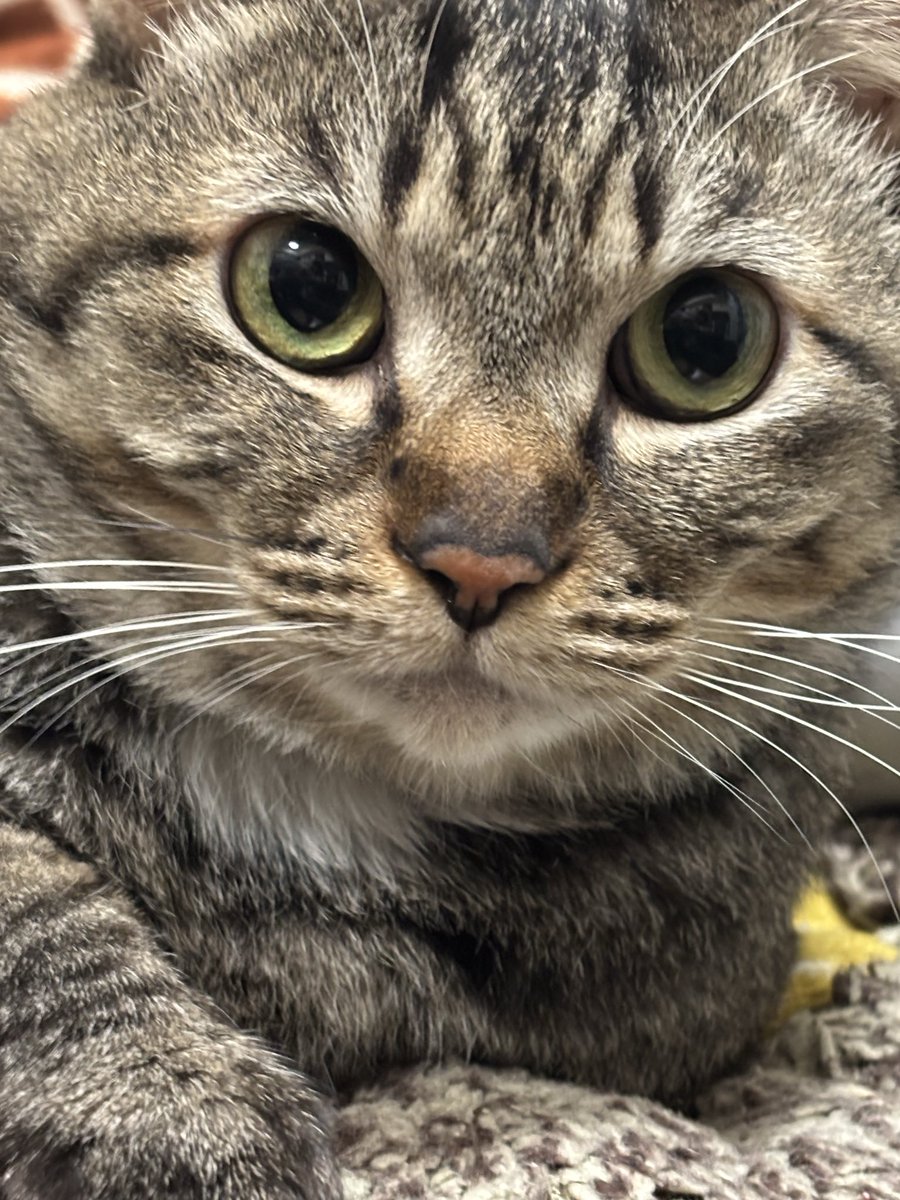 夜勤延長戦おわ
やっと帰ってシャワー浴びたので気絶する
お茶々が俺の枕を占領してる気もするけど、添い寝してくれるなら許そうじゃないか