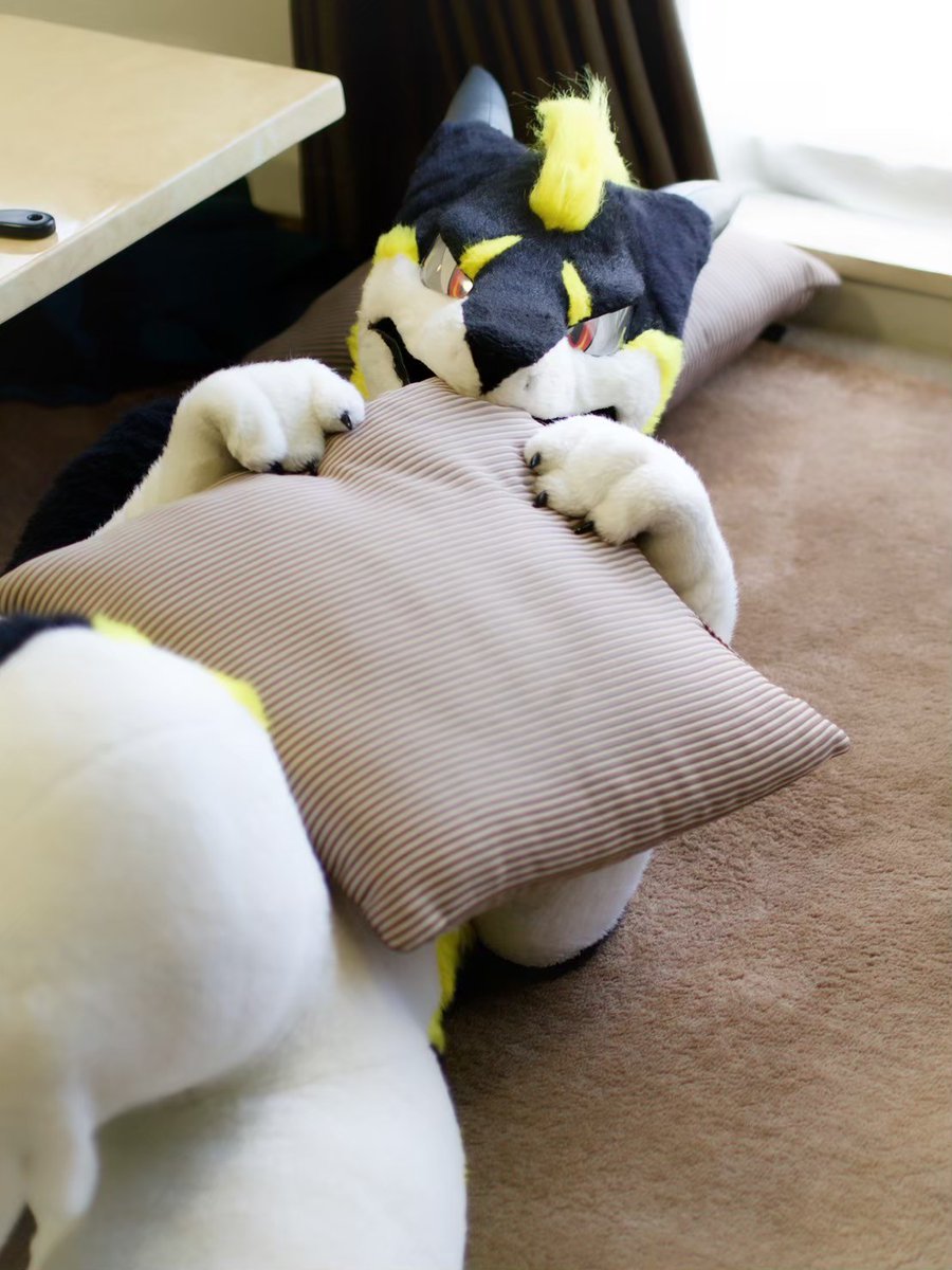 📸@ perrucherc
#FursuitFriday