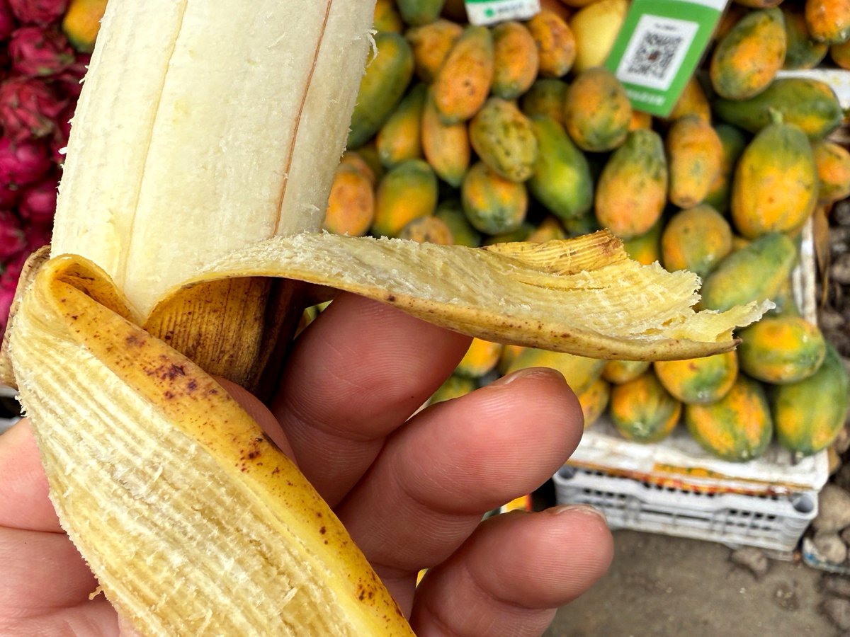 モンキーバナナ