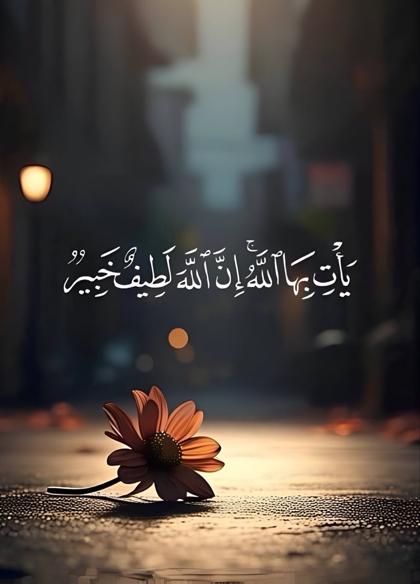 ريشة رسام (@zli__) on Twitter photo 