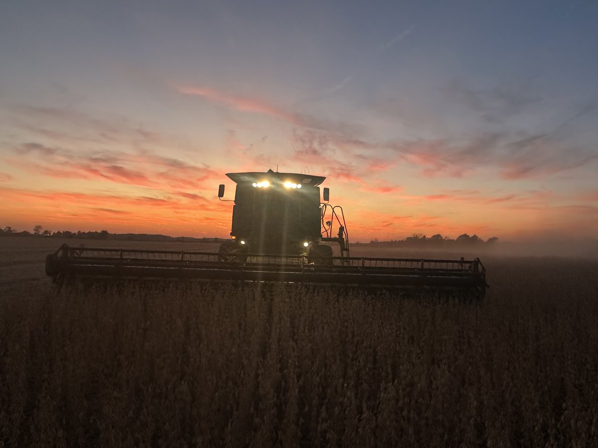 Harvest Rolls On, Amid Market Fog

My Under the Agridome column published tonight on DTN