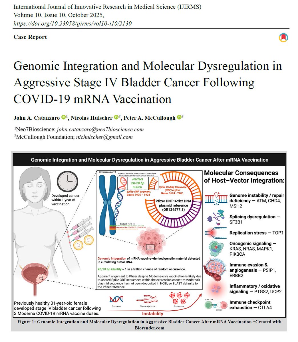 P_McCulloughMD's tweet image. We Predicted it 2022, Proved it in a Human Specimen 2025
Human genomic integration is real for at least a segment of base pairs in the setting of malignancy. NIH should be launching thorough genomic integration analyses based on these papers, yet nothing is recognized or…