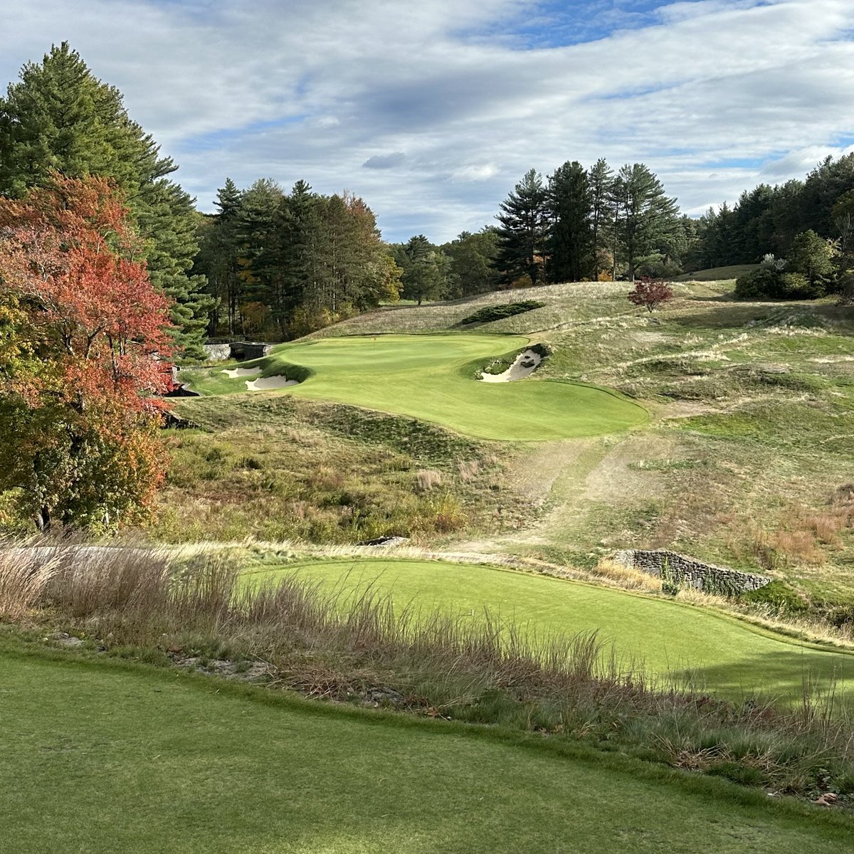 The Russian tweet media