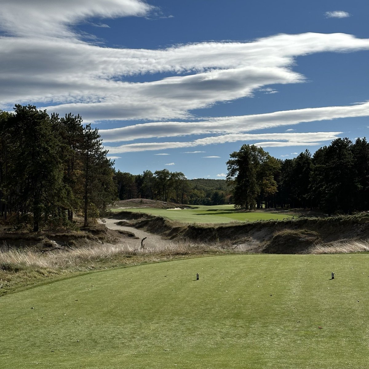 The Russian tweet media