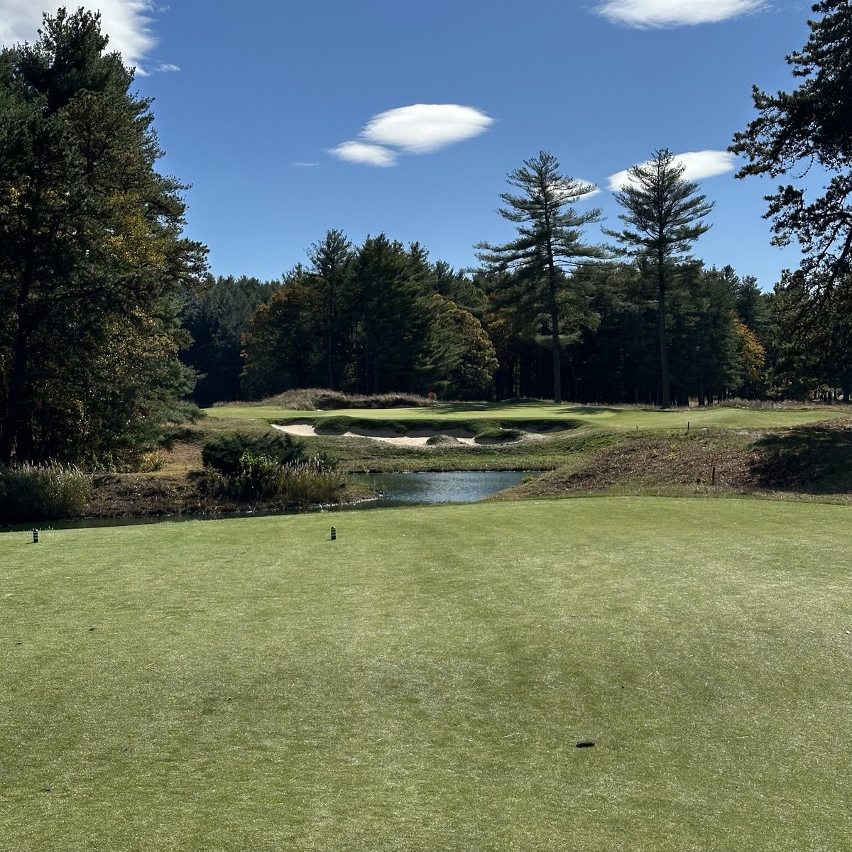 The Russian tweet media