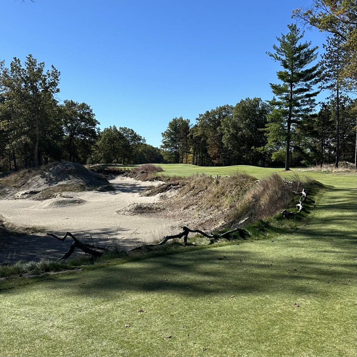 The Russian tweet media