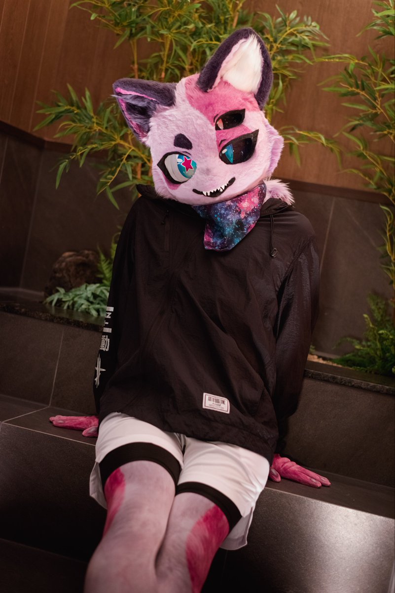 #FursuitFriday

고양이의 퍼프라다냥~
묭먕묭먕하다냥

📸: @ dondon_fur