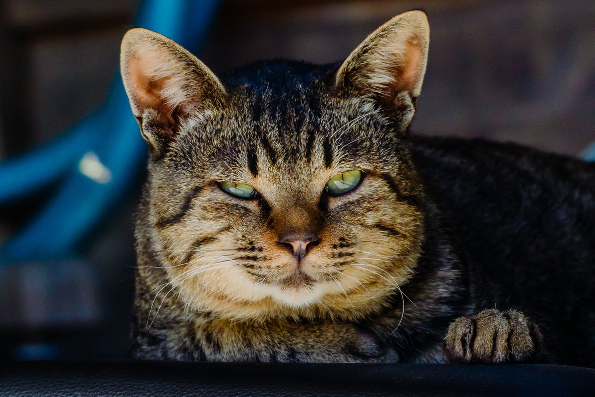 言語化し辛い色気がある

おはようございます🐾