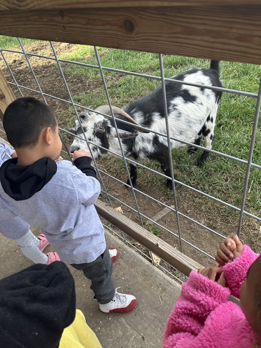 Children from our Alexandria Head Start had a wonderful time visiting Bronkberry Farms last week!

At Head Start, we believe children learn best through play and hands-on experiences!
If you want your child to share in these experiences, enroll today: catholiccharitiesjoliet.org/services/early…